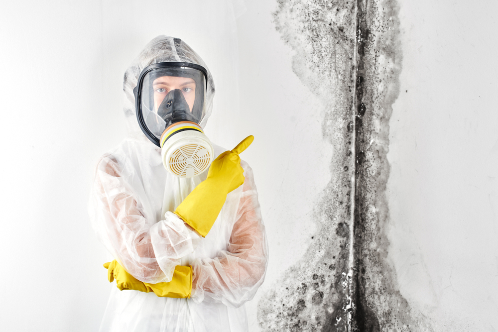 Mold Detection and Remediation