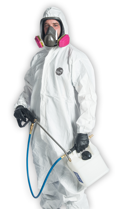 Mold Remediation Specialist Elizabeth NJ