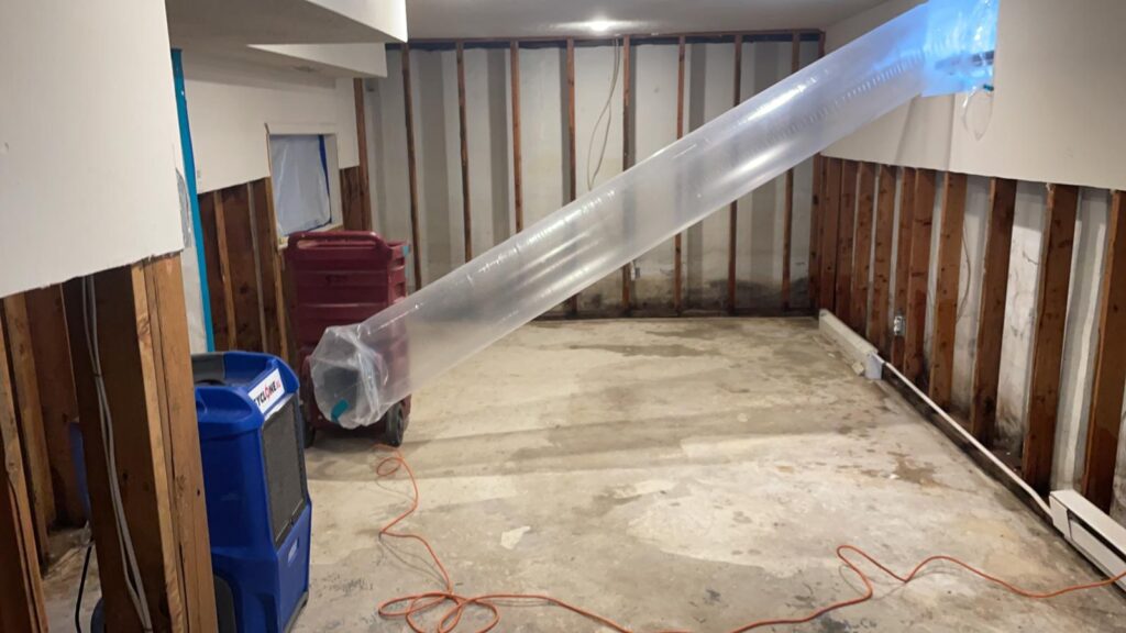 Expert Mold Remediation and Removal Linden NJ