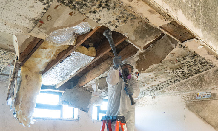 Mold Removal Services in Elizabeth